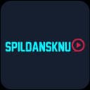 SpilDanskNu